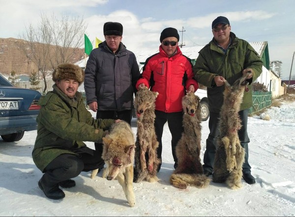 Главное фото