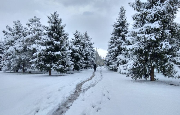 Главное фото