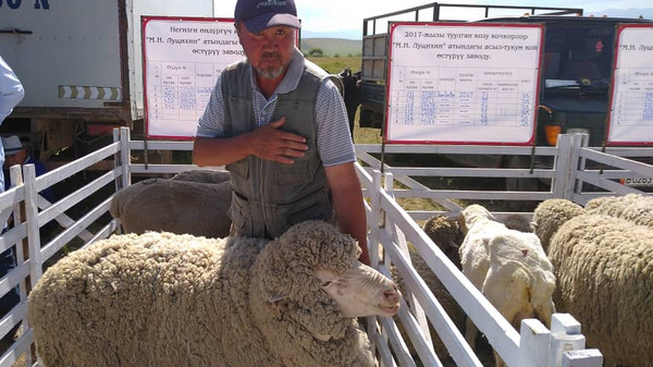 Главное фото