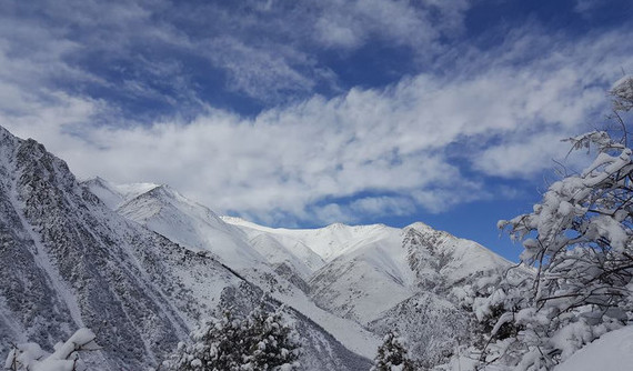 Главное фото