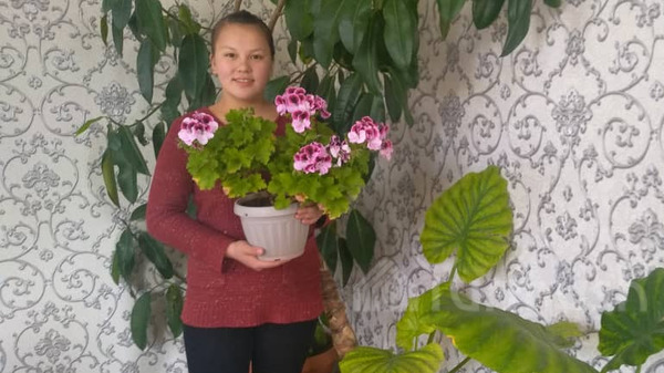 Главное фото