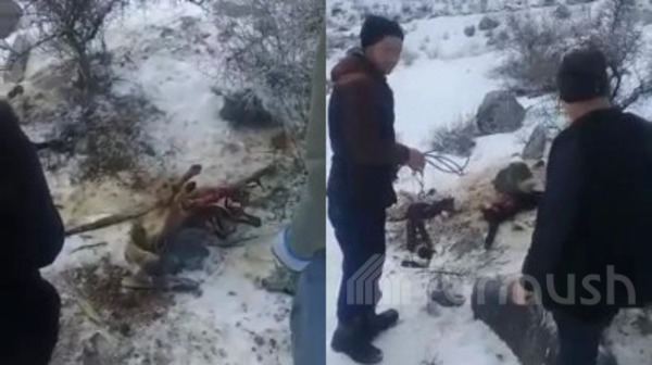 Главное фото