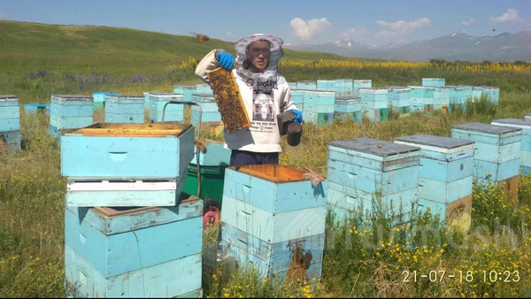 Главное фото