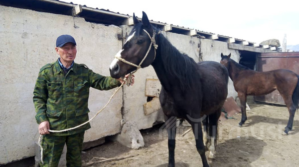 Главное фото