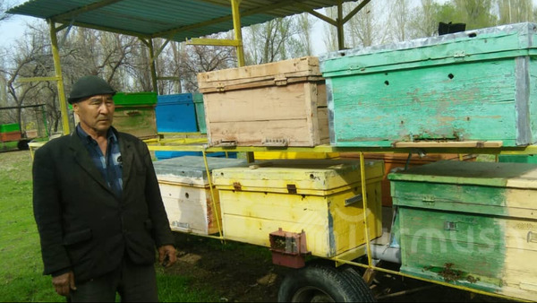 Главное фото