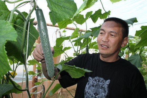 Главное фото