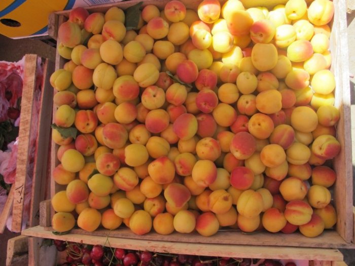 Главное фото