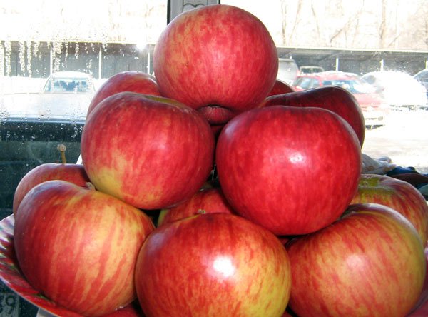 Главное фото