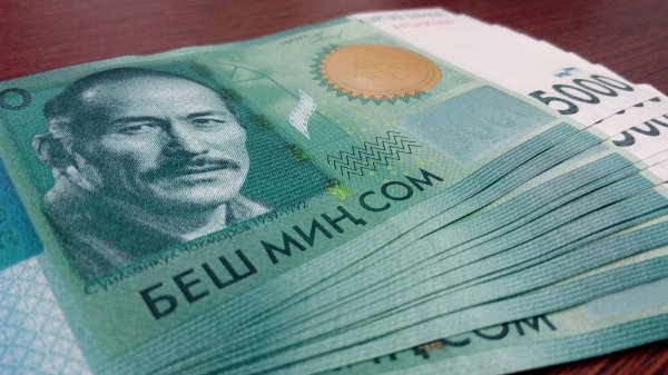 За январь-октябрь 2016 года в госбюджет недопоступило 5,1 млрд сомов — Tazabek