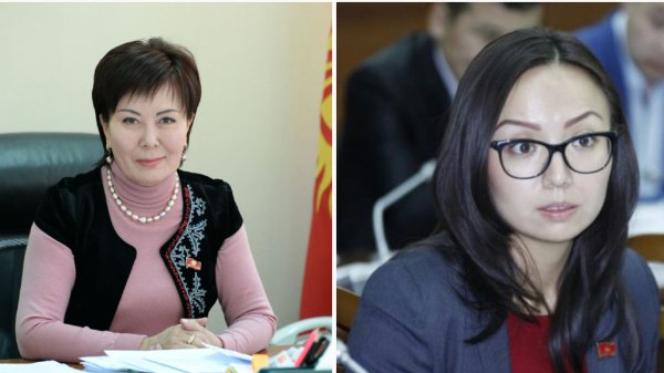 ТОП-100 туроператоров КР: В числе владельцев значатся депутаты ЖК А.Мамашова и Г.Асылбаева, а также экс-глава Департамента туризма (владельцы + отчисления) &mdash; Tazabek