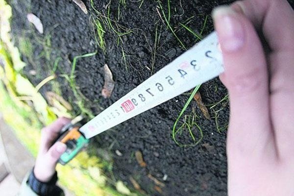 Минэкономики опровергает информацию об увеличении ставки земельного налога в 100 раз &mdash; Tazabek