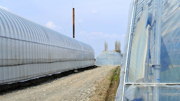 Минэкономики предложило выделить 20 пилотных городов и других населенных пунктов для формирования на их базе центров развития (список) &mdash; Tazabek