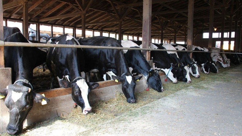 Госветинспекция предлагает утвердить программу развития Ветеринарной службы на 2017-2021 годы &mdash; Tazabek