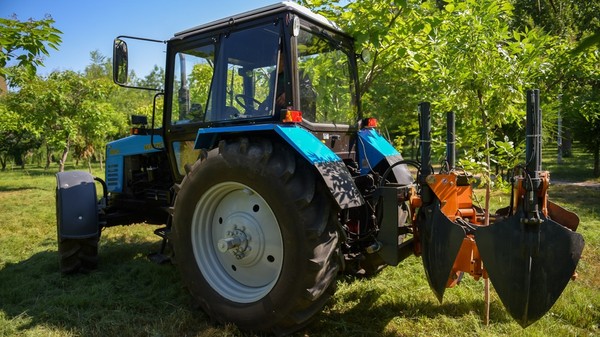 Главное фото