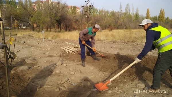 Главное фото