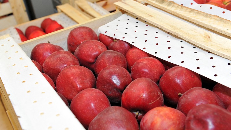 Минэкономики предложило освободить от НДС поставку торгово-логистическим центром сельхозпродукции &mdash; Tazabek