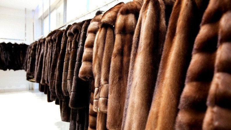 Какие страны поставляют в Кыргызстан шубы, дубленки и меха? &mdash; Tazabek