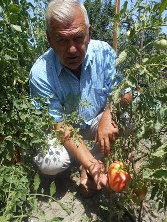 Главное фото