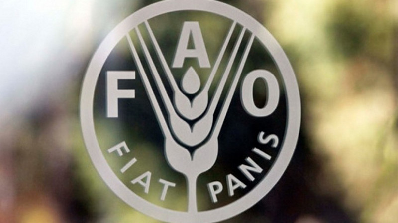 Сокращение объемов пищевых отходов способствует улучшению климата и местных экономик, - ФАО &mdash; Tazabek