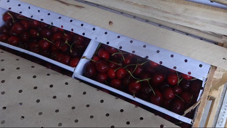 Россельхознадзор не пропустил в Оренбургскую область более 93 тонн продукции из Казахстана и Кыргызстана &mdash; Tazabek