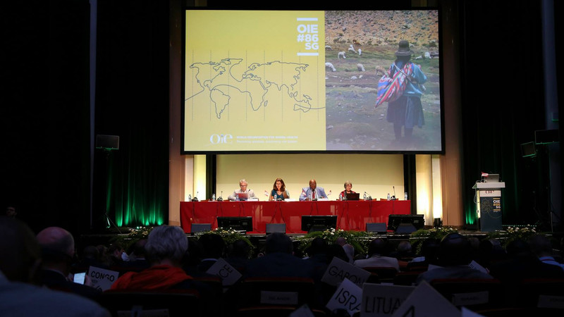 КР представила Международному эпизоотическому бюро план контроля ящура &mdash; Tazabek