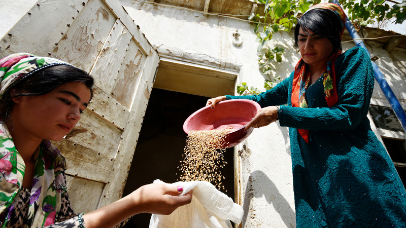 Производство более 80% продовольствия в мире приходится на семейные фермерские хозяйства, - ФАО &mdash; Tazabek