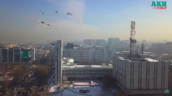 В 2018 году в Бишкеке наложено штрафов на 485 тыс. сомов по загрязнению воздуха — Экология АКИpress