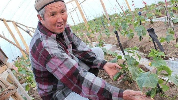 Чтобы перевести только одно хозяйство на органическое производство, понадобится 20 тыс. евро, - Федерация Bio-Kg &mdash; Tazabek