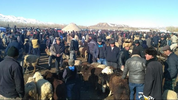 Крупнейшие рынки Нарынской области (суммы патентов) &mdash; Tazabek