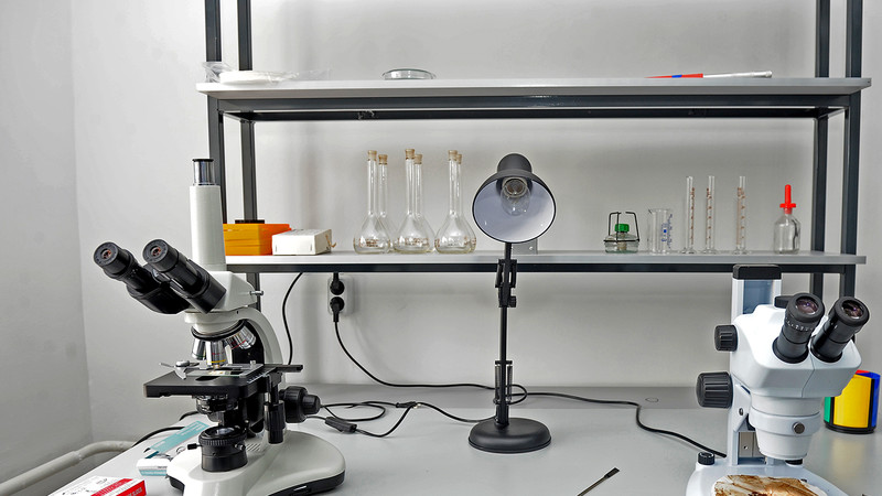 Минсельхоз предлагает утвердить правила фитосанитарного зонирования территории страны &mdash; Tazabek