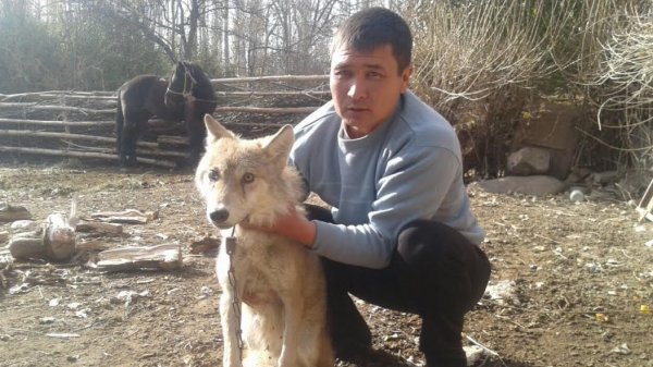 Главное фото