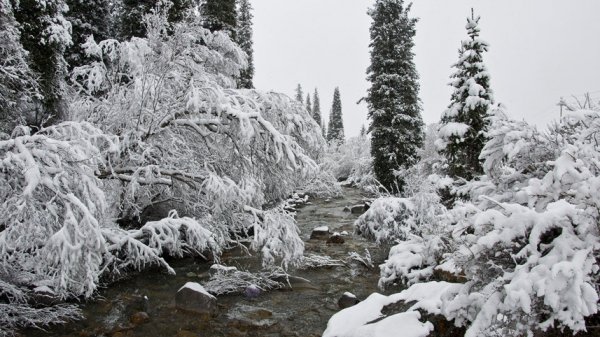 Главное фото