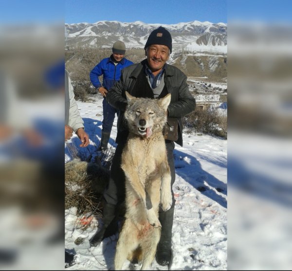 Главное фото