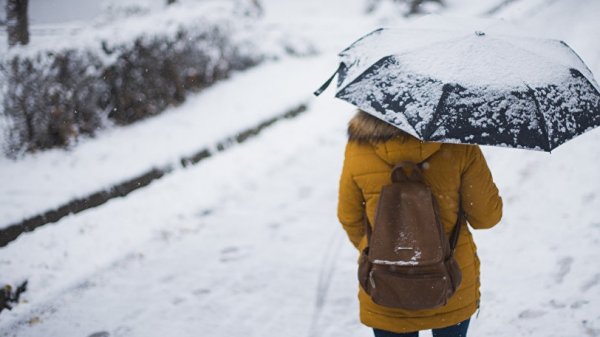 Главное фото