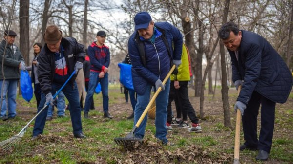 Главное фото