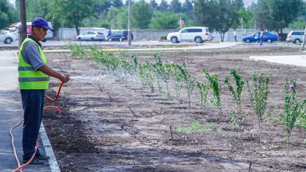 Главное фото