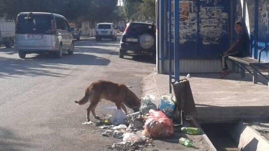 Главное фото