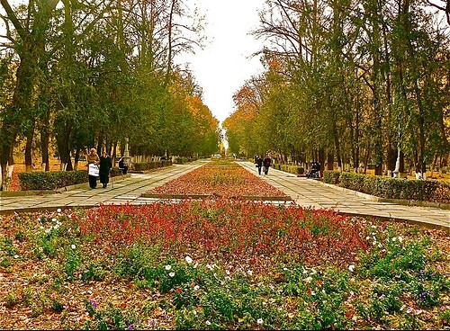 Главное фото