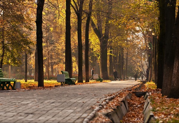 Главное фото