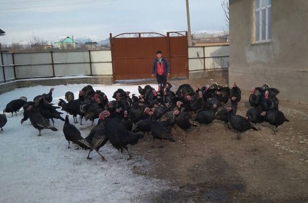 Главное фото