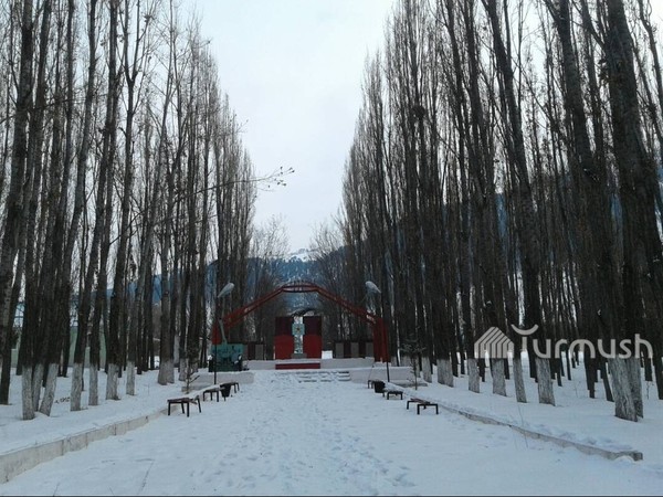 Главное фото