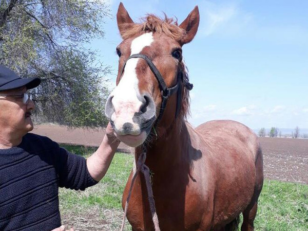 Главное фото