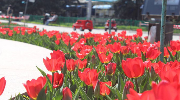 Главное фото