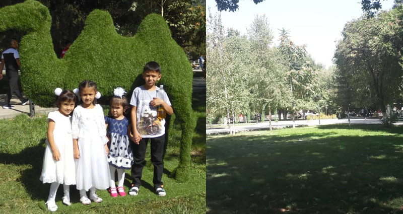 Главное фото