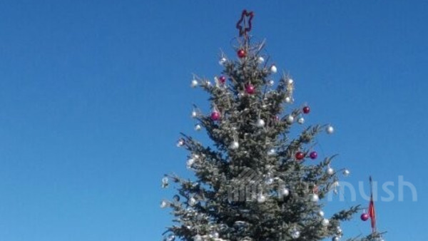 Главное фото