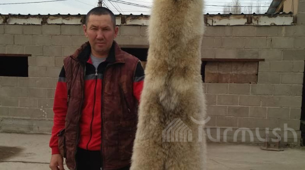 Главное фото