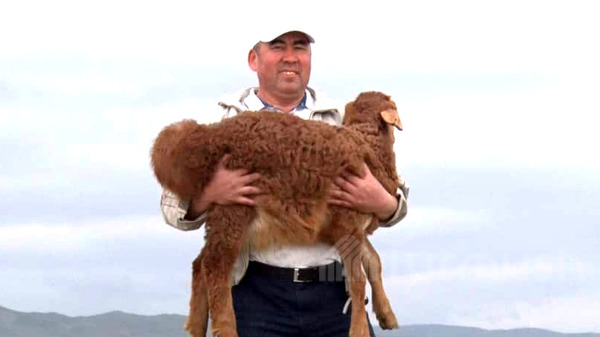 Главное фото