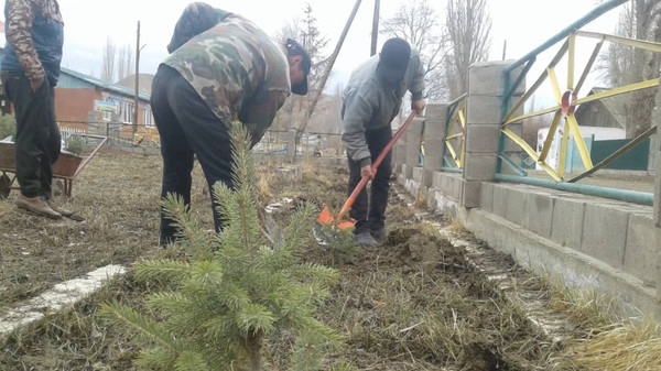 Главное фото