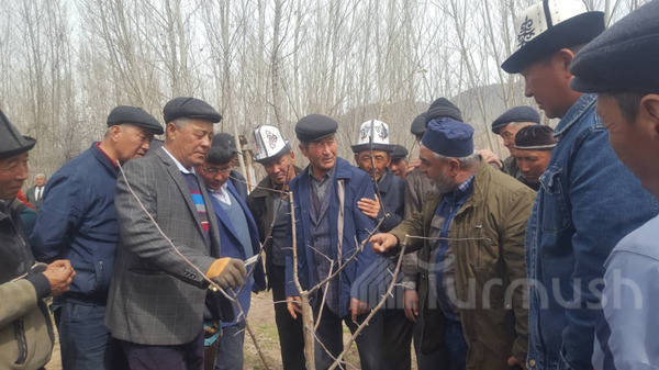 Главное фото