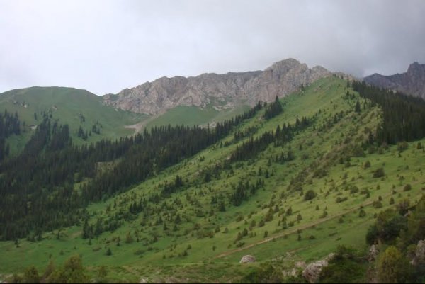 Главное фото